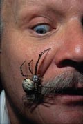 фото какого-то странного дядьки с пауком на морде лица.